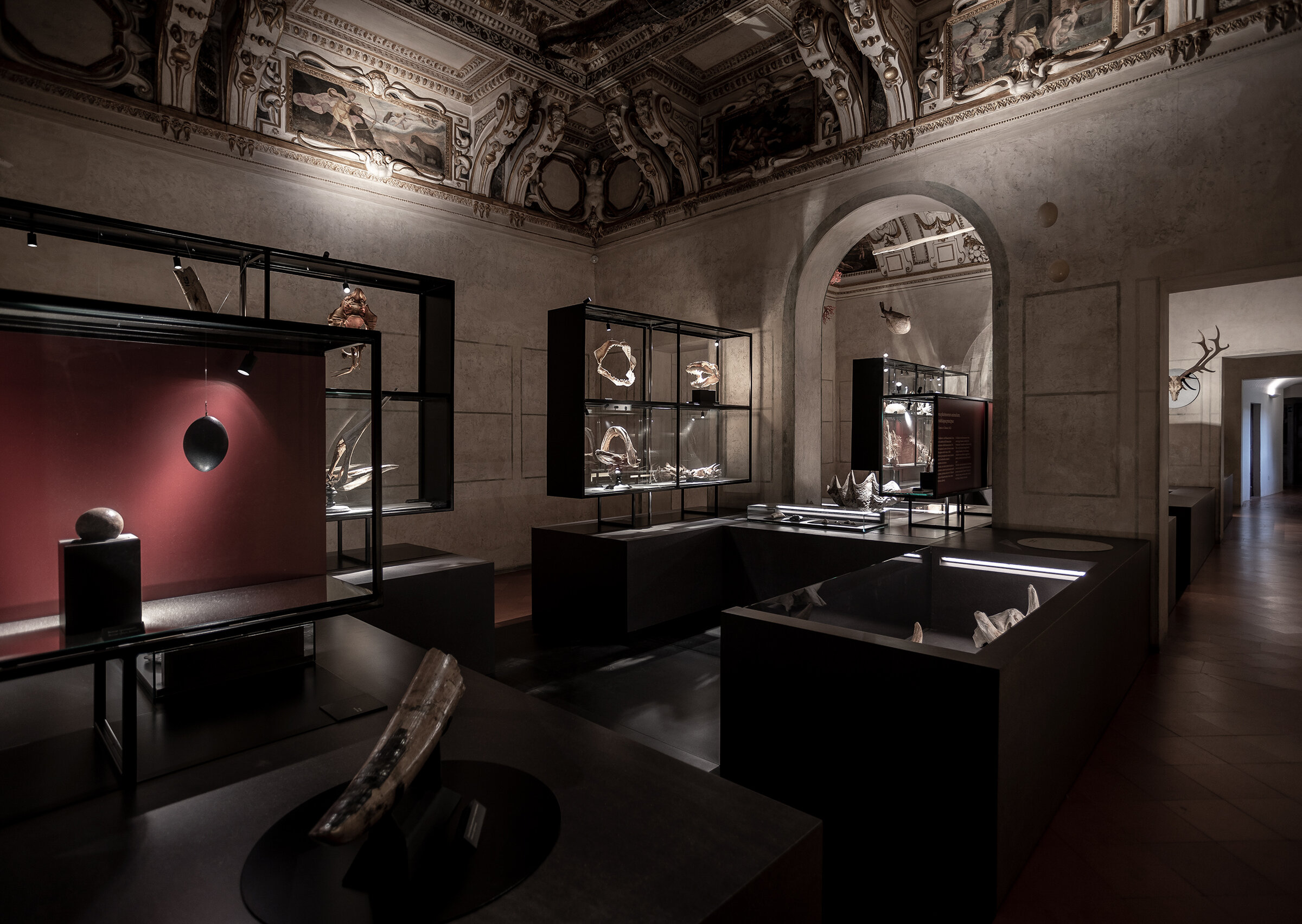 Galleria delle Metamorfosi, Wunderkammer | © Davide Groppi srl | All Rights Reserved